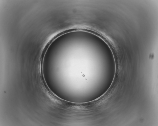 X0000091001272200708091532