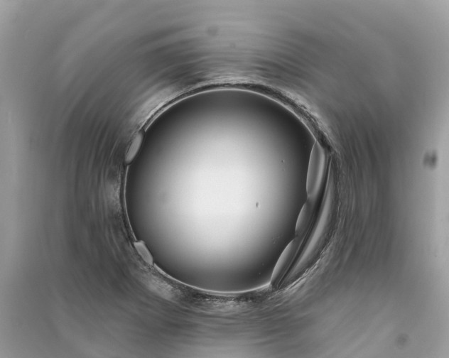 X0000091001273200708091532