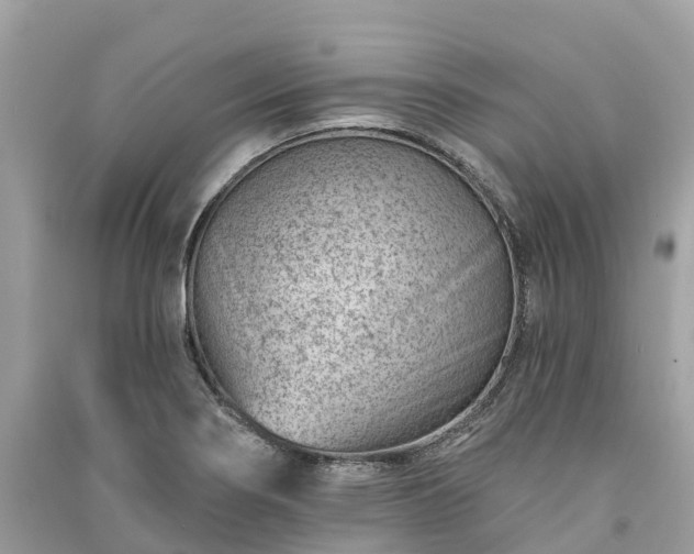 X0000091001274200708091532