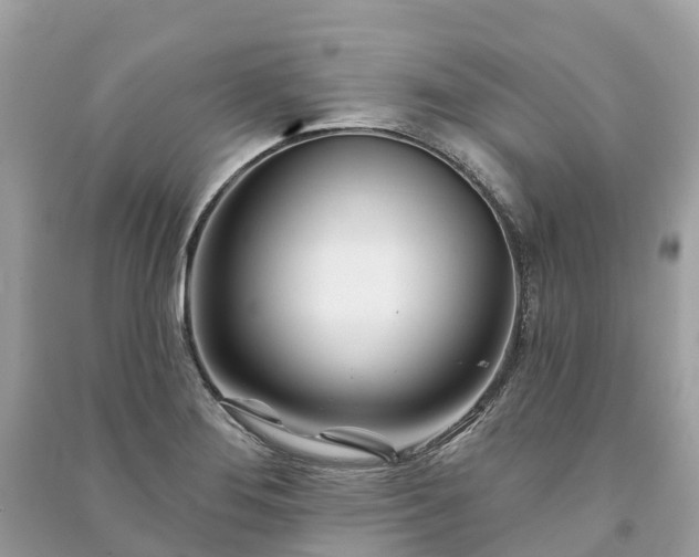 X0000091001276200708091532