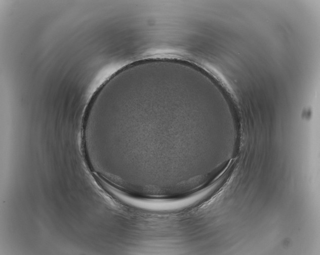 X0000091001277200708091532