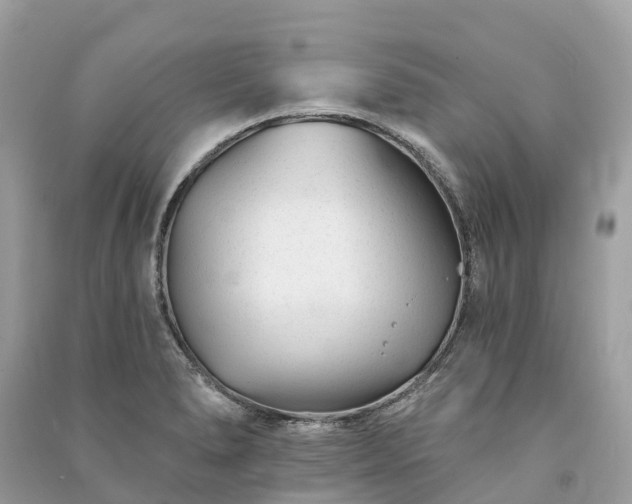 X0000091001278200708091532
