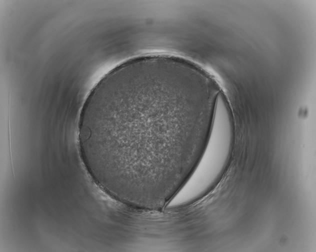 X0000091001279200708091532