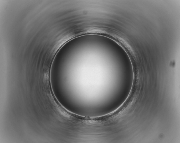 X0000091001281200708091532