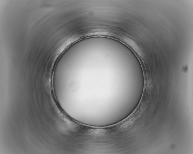 X0000091001282200708091532