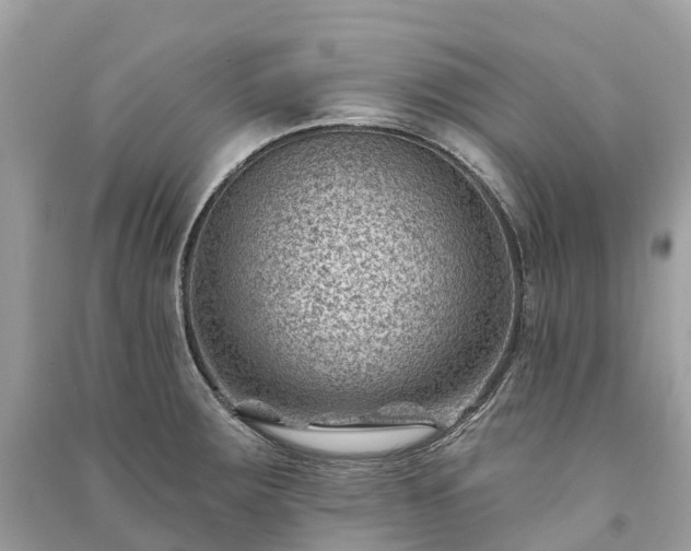 X0000091001283200708091532