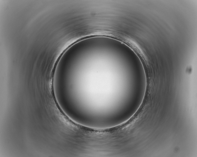X0000091001284200708091532
