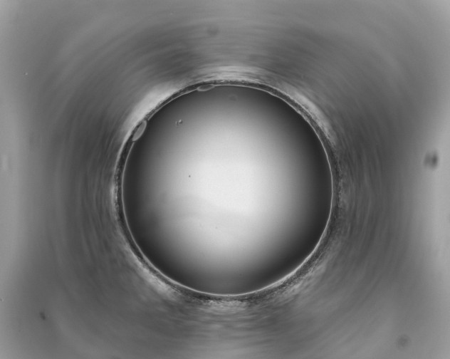 X0000091001285200708091532