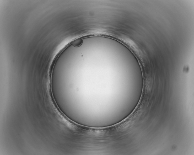 X0000091001286200708091532