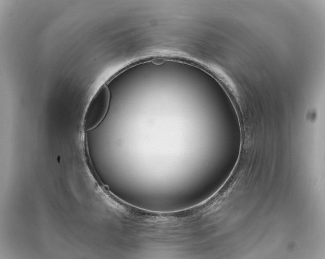 X0000091001287200708091532