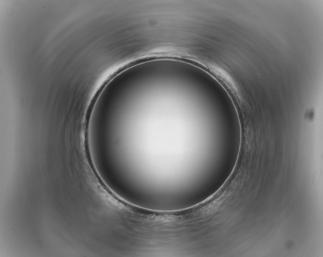 X0000091001288200708091532