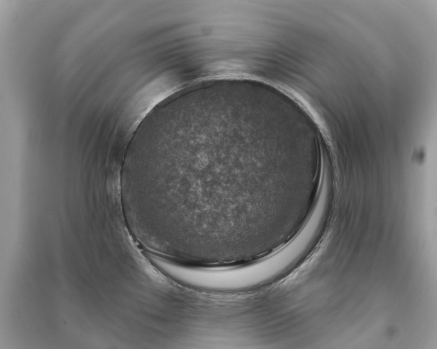 X0000091001289200708091532