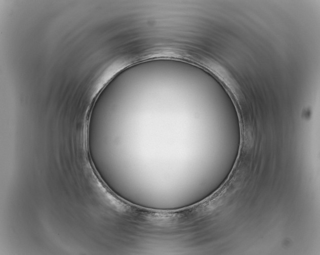 X0000091001290200708091532