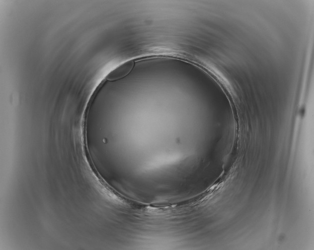 X0000091001291200708091532