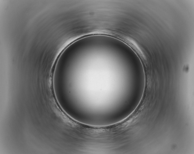 X0000091001292200708091532