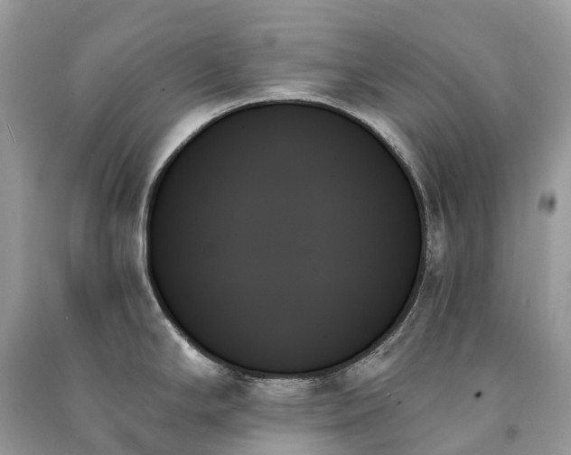 X0000091001294200708091532