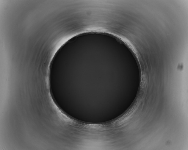 X0000091001295200708091532