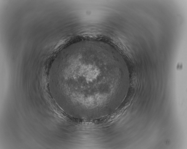 X0000091001297200708091531