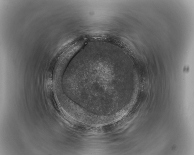 X0000091001298200708091531