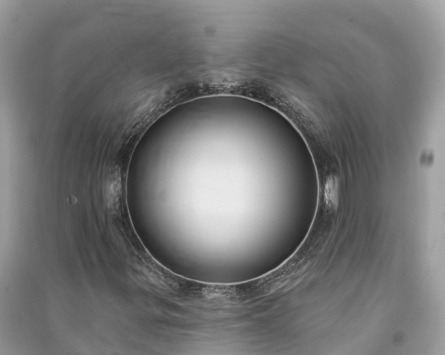 X0000091001299200708091531