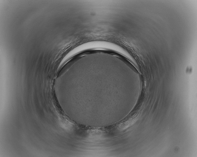 X0000091001300200708091531