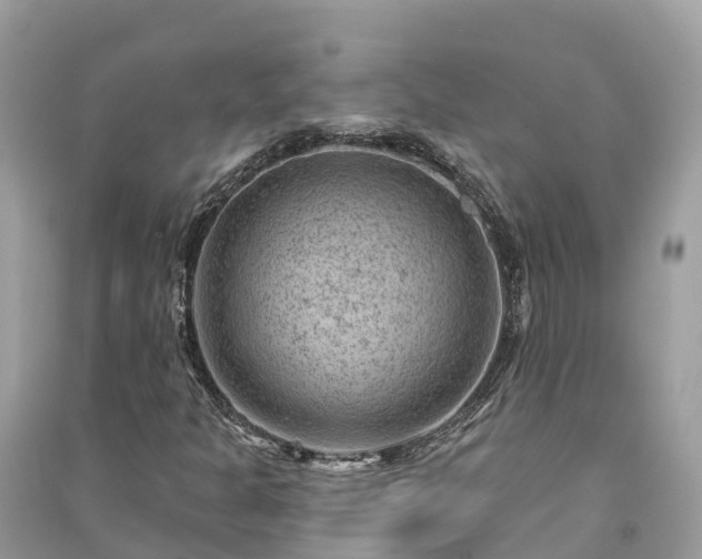 X0000091001301200708091531