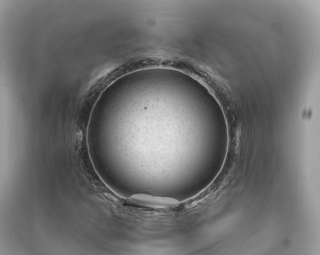 X0000091001302200708091531
