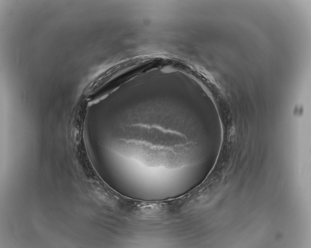 X0000091001303200708091531