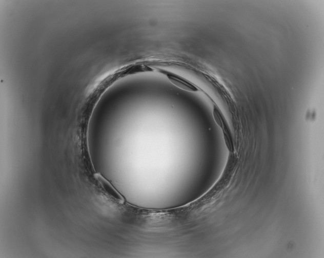 X0000091001304200708091531
