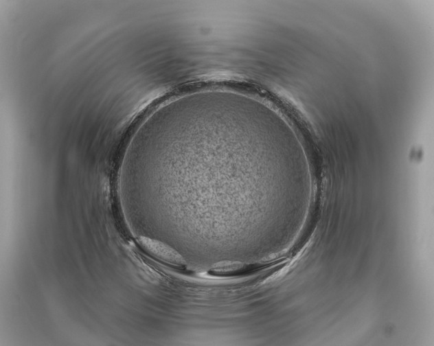 X0000091001305200708091531