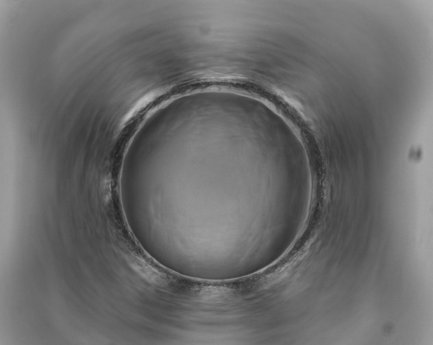 X0000091001306200708091531