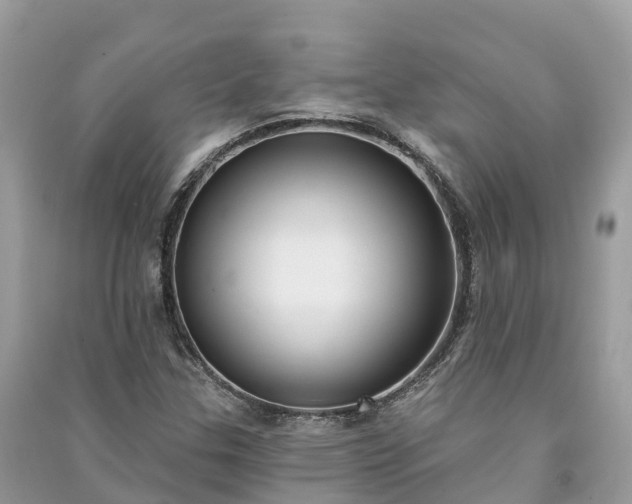 X0000091001307200708091531