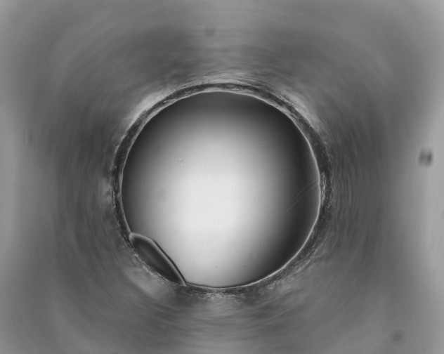 X0000091001308200708091531