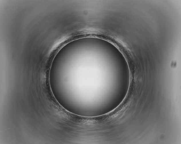 X0000091001309200708091531