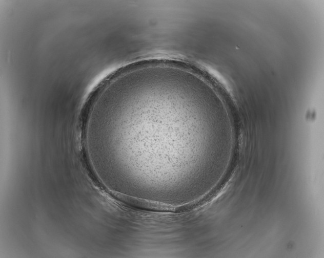 X0000091001310200708091531