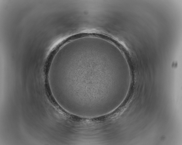 X0000091001311200708091531