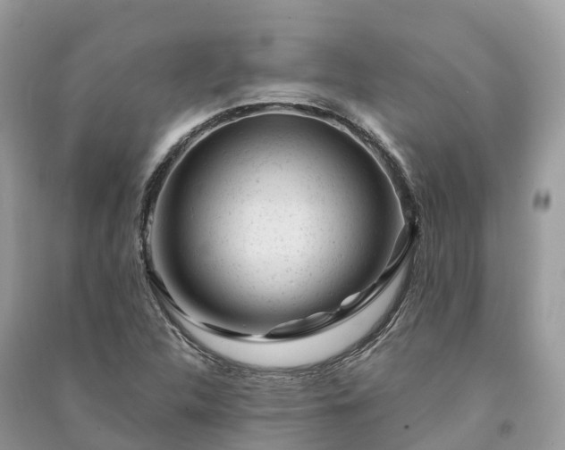 X0000091001312200708091531