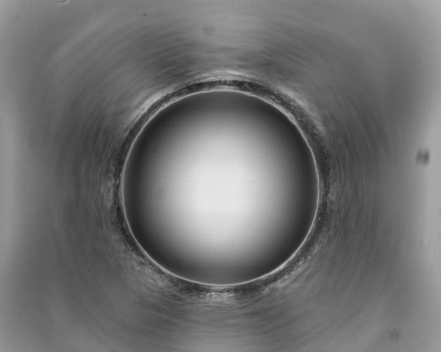 X0000091001313200708091531