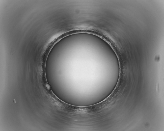 X0000091001315200708091531