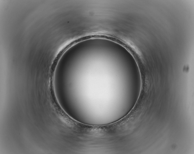 X0000091001316200708091531