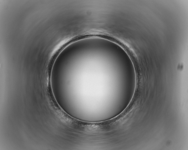 X0000091001317200708091531
