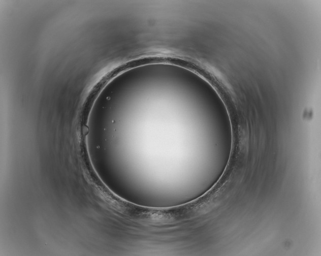 X0000091001318200708091531