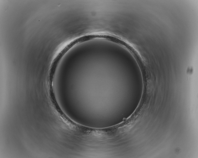 X0000091001319200708091531