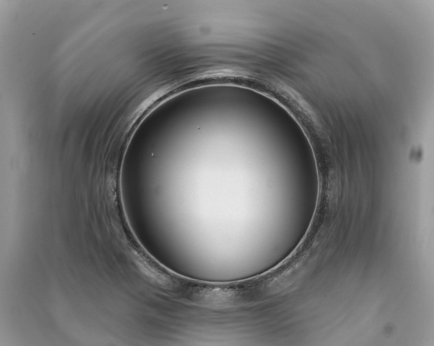X0000091001321200708091531