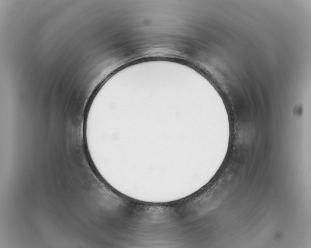 X0000091001322200708091531