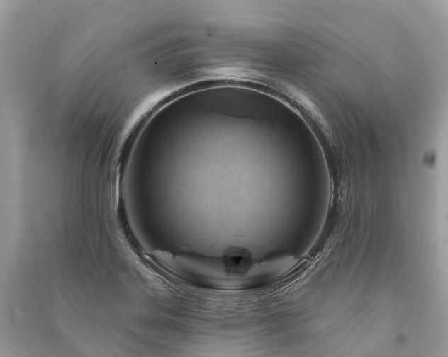 X0000091001323200708091531