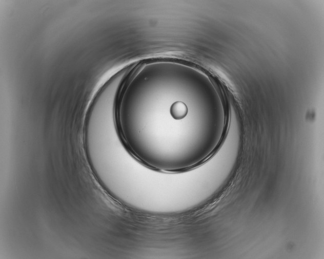X0000091001324200708091531