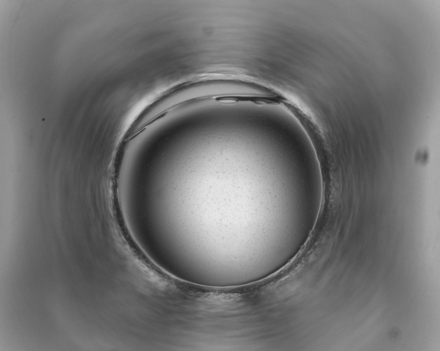 X0000091001325200708091531