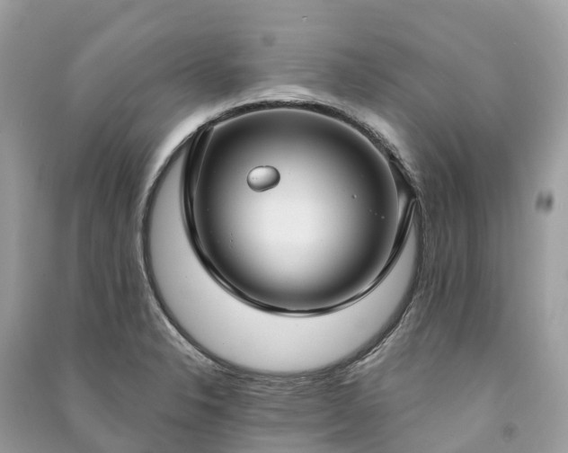 X0000091001326200708091531