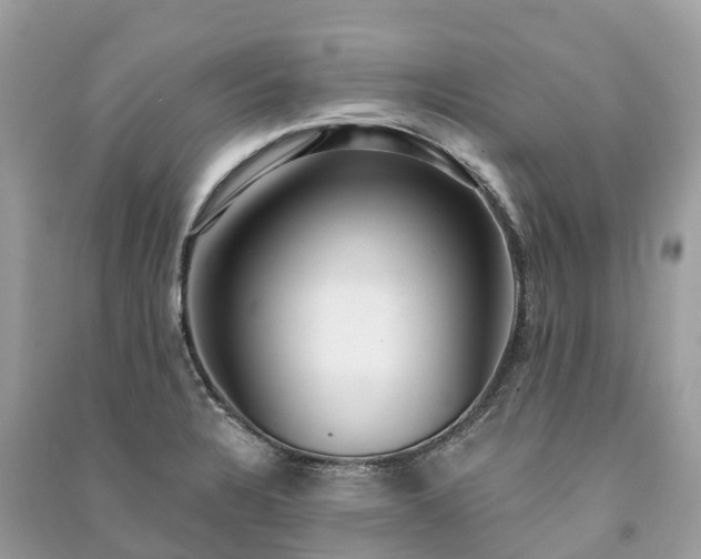 X0000091001328200708091532